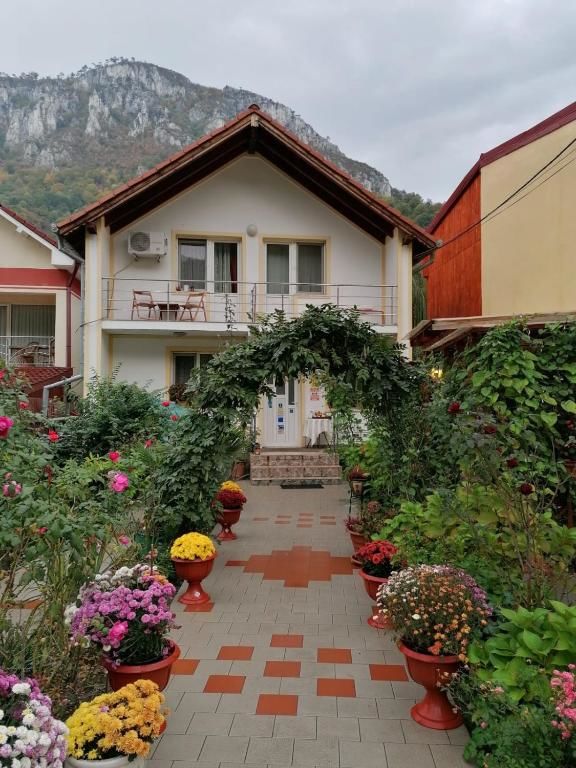 Гостевой дом Pension Eden Бэиле-Еркулане-49